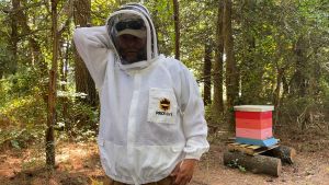 Bee Suit